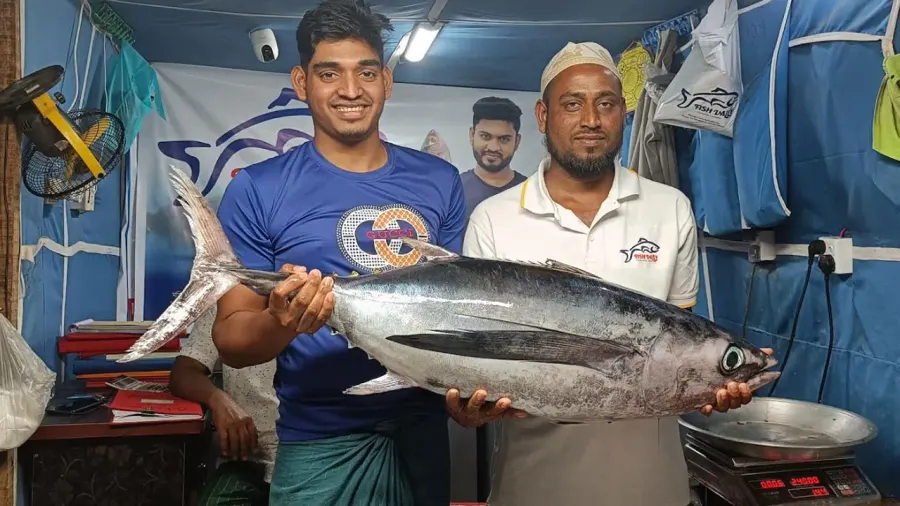টুনা