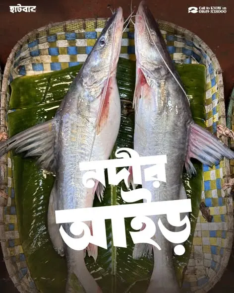 আইড়