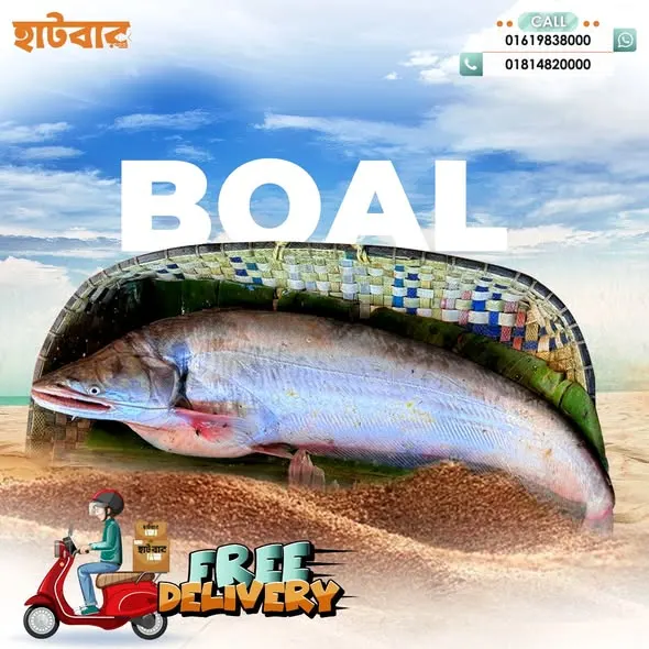 বোয়াল
