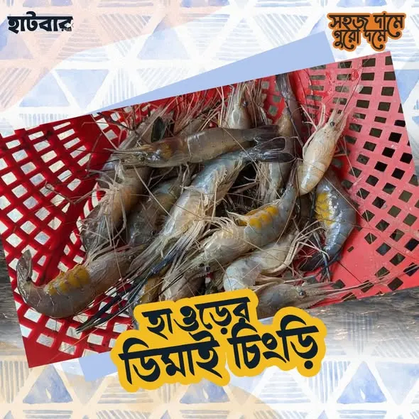 ডিমা চিংড়ি