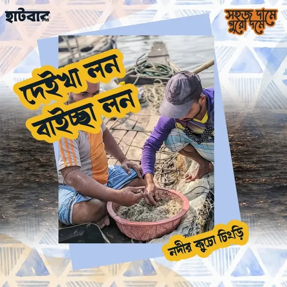 কুচো চিংড়ি